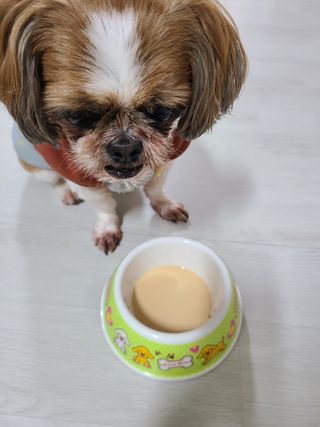 햄쓰님이 올린 리뷰 사진 3