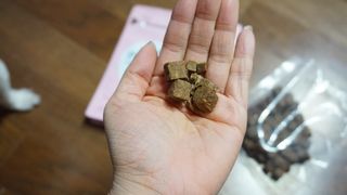 My Pet Care 천연단백질 관절건강에 개좋아 — 5점을 준 리뷰어가 2021년 2월 올린 사용 사진