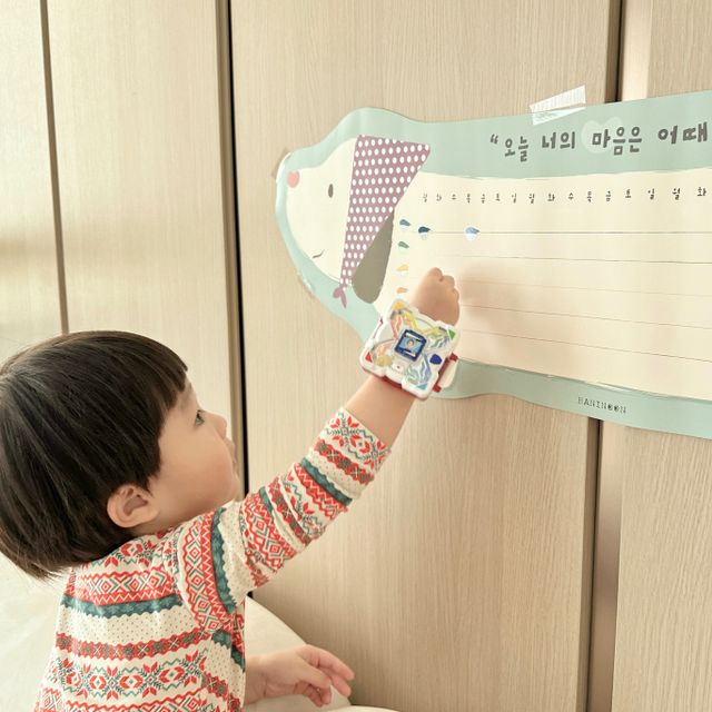 바니눈 마음그래프 세트 리뷰 사진