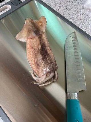 행복나무님이 올린 리뷰 사진 3