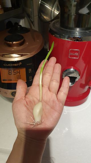 바른소비님이 올린 리뷰 사진 3