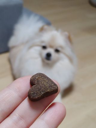 레오포포님이 올린 리뷰 사진 4
