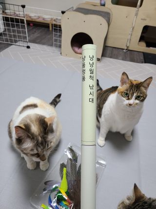 코코민네님이 올린 리뷰 사진 3