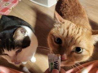 복이들맘님이 올린 리뷰 사진 3