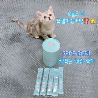 페페로니 잘 먹는 캣츄 - 원양선 참치 24개입 — 5점을 준 리뷰어가 2021년 10월 올린 사용 사진