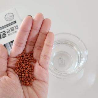 푸름웰니스 부아메라 프로폴리스 도라지 호흡편환 20포 — 5점을 준 리뷰어가 2022년 3월 올린 사용 사진