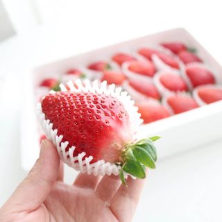 내삶의비타민님이 올린 리뷰 사진 3