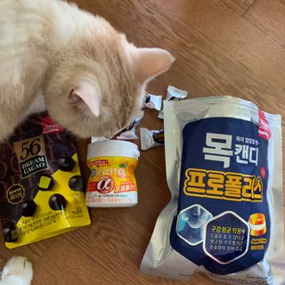 시리꽃님이 올린 리뷰 사진 2