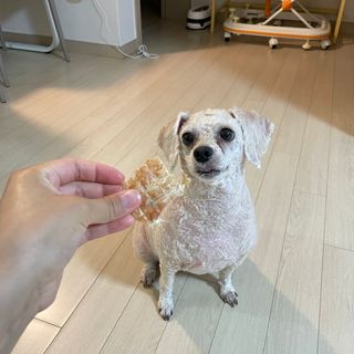 나은님이 올린 리뷰 사진 3