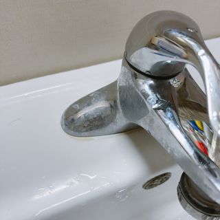 [3M] 스카치브라이트 크린스틱 향기톡톡 변기청소 핸들1 + 리필 16개 (라벤더/레몬 중 택1) — 5점을 준 리뷰어가 2024년 8월 올린 사용 사진