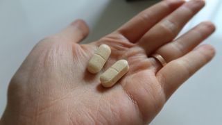 닥터안스 관절케어플러스 60정 1개월분 — 5점을 준 리뷰어가 2022년 10월 올린 사용 사진