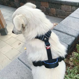 혜정님님이 올린 리뷰 사진 1