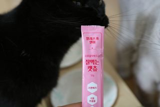 페페로니 잘 먹는 캣츄 - 알래스카 연어 24개입 — 5점을 준 리뷰어가 2021년 8월 올린 사용 사진