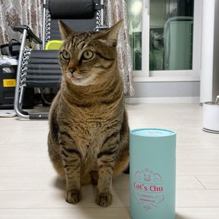 페페로니 잘 먹는 캣츄 - 원양선 참치 24개입 — 5점을 준 리뷰어가 2021년 10월 올린 사용 사진