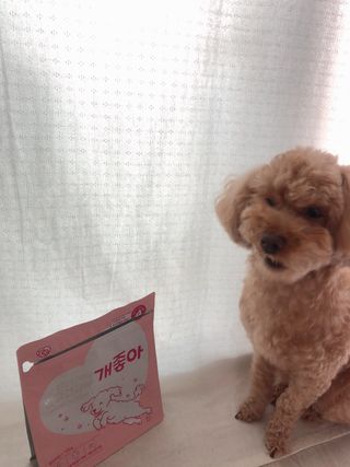 My Pet Care 천연단백질 관절건강에 개좋아 — 5점을 준 리뷰어가 2021년 1월 올린 사용 사진