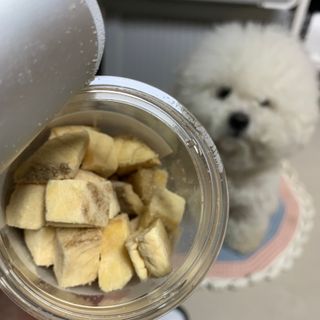 부르르펫 야미트릿 틸라피아 60g — 5점을 준 리뷰어가 2021년 10월 올린 사용 사진