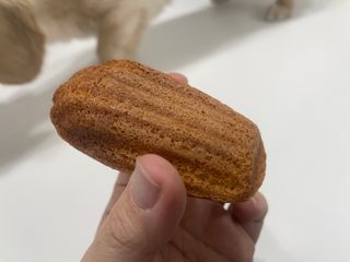 [메종콜리브리] 프랑스 마들렌 메종콜리브리 플레인 마들렌 2팩 — 4점을 준 리뷰어가 2022년 2월 올린 사용 사진