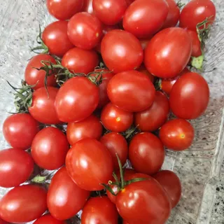 발랄써냐님이 올린 리뷰 사진 3