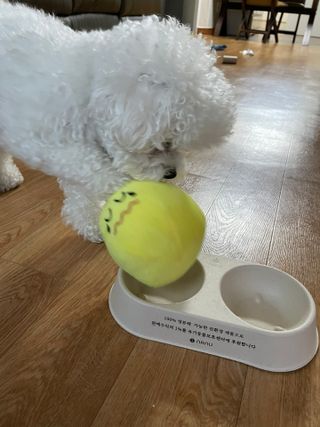 hyyoon님이 올린 리뷰 사진 1