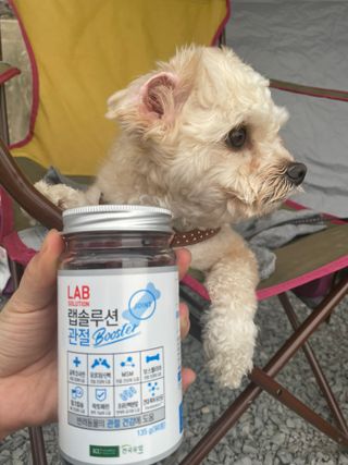 랩솔루션 강아지 영양제 3종 중 택 1 — 5점을 준 리뷰어가 2022년 5월 올린 사용 사진