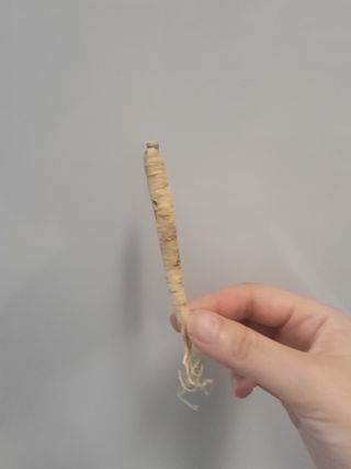 루잉루잉님이 올린 리뷰 사진 3