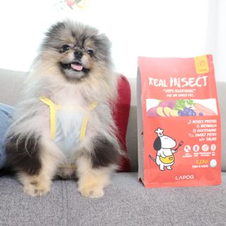 [푸디웜] 라포그  리얼인섹트 관절 저알러지 강아지 사료  1.2KG — 5점을 준 리뷰어가 2022년 8월 올린 사용 사진