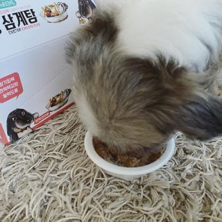 예니님이 올린 리뷰 사진 3