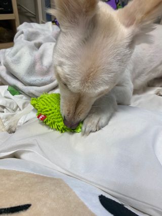 민홀리님이 올린 리뷰 사진 1