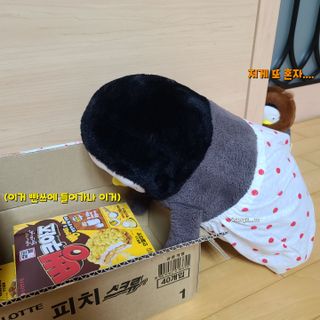 그므시라꼬님님이 올린 리뷰 사진 3