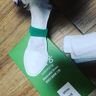 코보콩 에어슈즈 강아지 일회용 신발 소용량 패키지 20매 초경량  미끄럼방지 실내외 겸용 — 5점을 준 리뷰어가 2022년 2월 올린 사용 사진