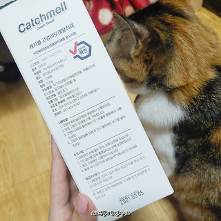 매드엔젤님이 올린 리뷰 사진 3