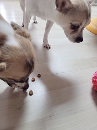 송지은님이 올린 리뷰 사진 1
