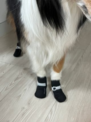 디안님이 올린 리뷰 사진 1