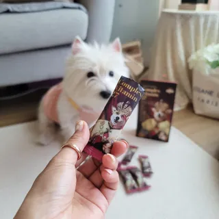 jj스타일님이 올린 리뷰 사진 2