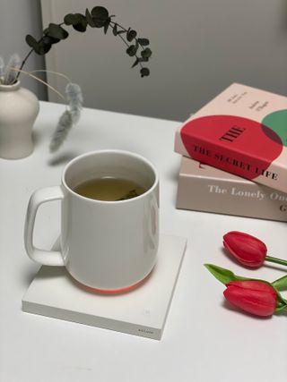 서라님이 올린 리뷰 사진 4