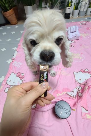 한지수님이 올린 리뷰 사진 1