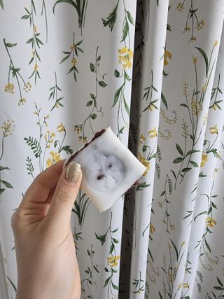 앞니요정님이 올린 리뷰 사진 2
