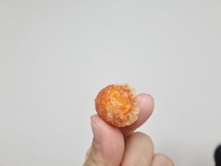 레드닥터 통째로 동결건조한 대추방울토마토 20g * 4봉 — 5점을 준 리뷰어가 2022년 11월 올린 사용 사진