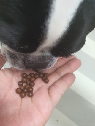 삼꽃단하나님이 올린 리뷰 사진 3