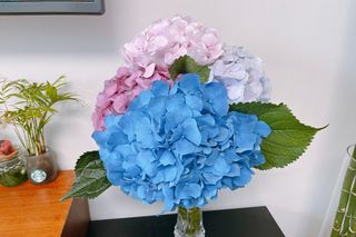 아하경주맘님이 올린 리뷰 사진 2