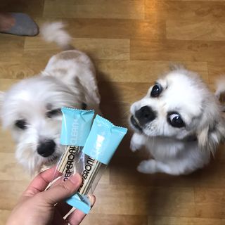 페페로니 2종 세트 클린플러스 덴탈껌 치킨+덕 — 5점을 준 리뷰어가 2021년 8월 올린 사용 사진