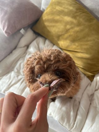 popo님이 올린 리뷰 사진 1