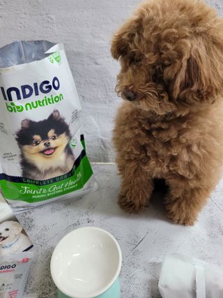 김맘님이 올린 리뷰 사진 2