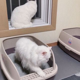 진진님이 올린 리뷰 사진 1