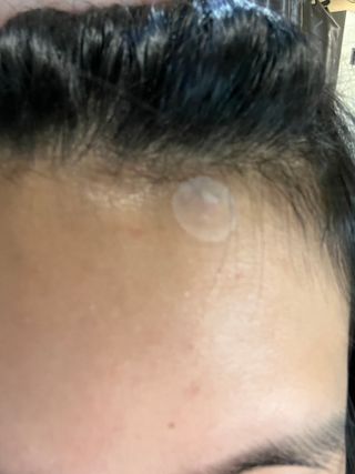 파이누이님이 올린 리뷰 사진 4