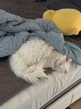 례진님이 올린 리뷰 사진 3
