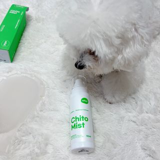 whol 키토미스트 150ml + 실리콘바디브러쉬  강아지 고양이 항균항바이러스, 강력탈취 피부 보습,무향 — 5점을 준 리뷰어가 2022년 9월 올린 사용 사진
