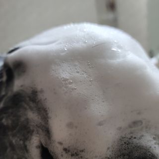 빅그린 안티 헤어로스 탈모 카렌듈라 바이옴 샴푸 500ml (지성두피용) — 5점을 준 리뷰어가 2022년 7월 올린 사용 사진