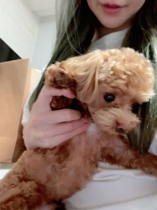 ehlove님이 올린 리뷰 사진 2