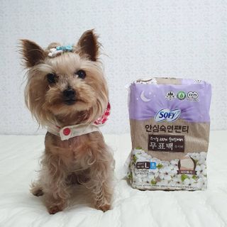 솜희님이 올린 리뷰 사진 3